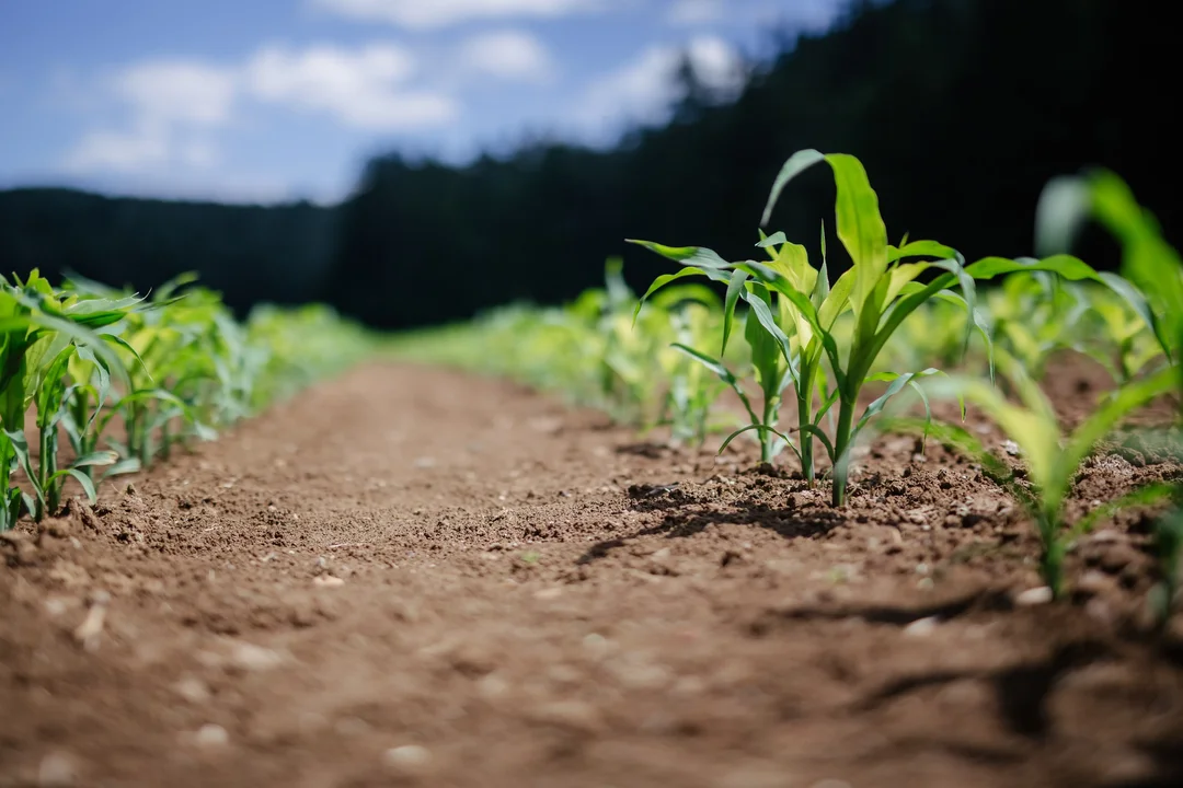 An Agricultural Financial Institution hired a remote Customer Support Representative