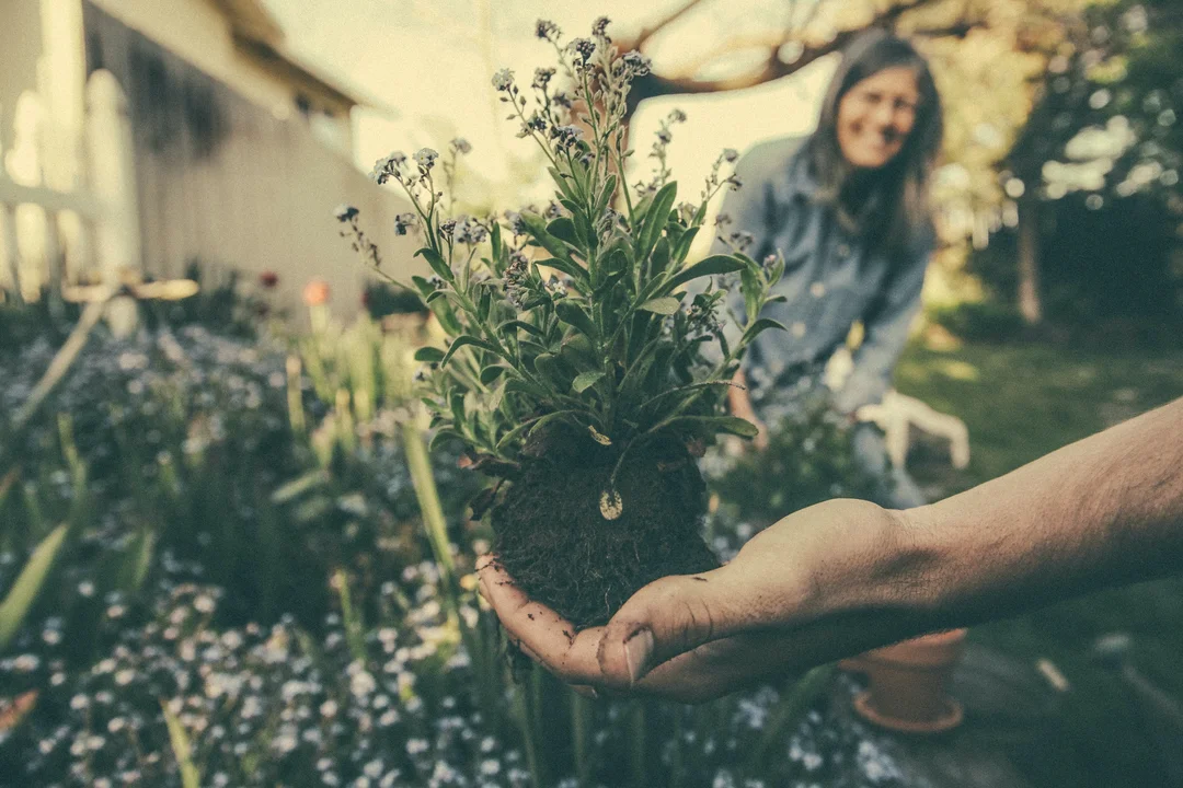An Online Resource for Gardening hired a remote Influencer Marketing Coordinator