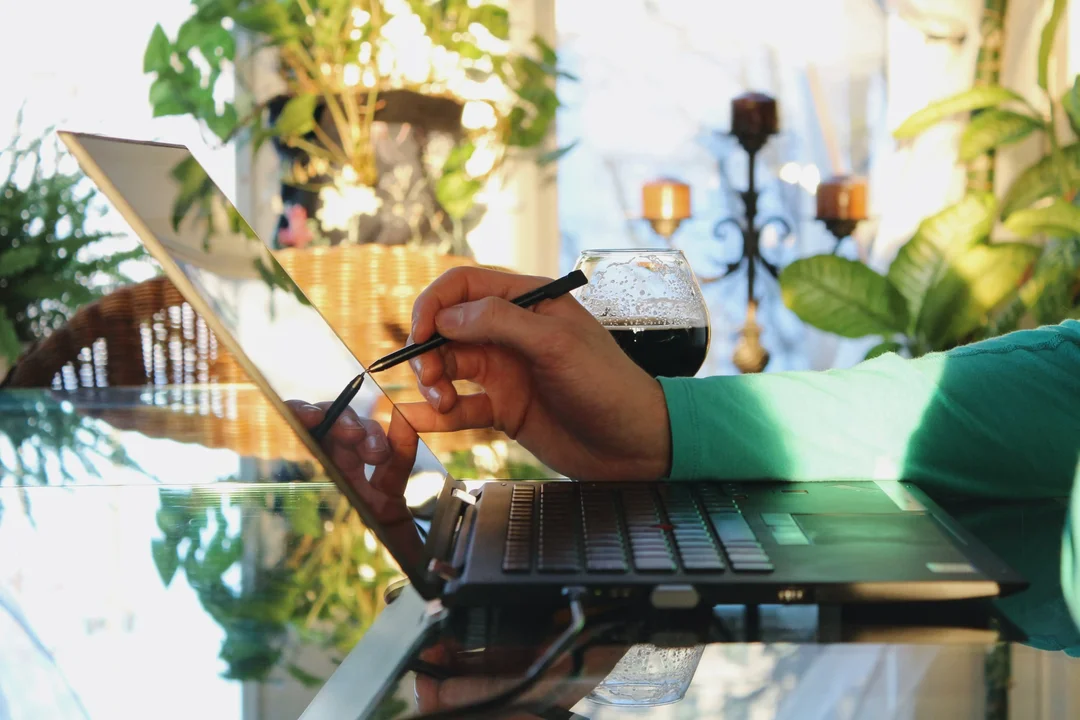 A Cloud Hosting Solution hired a remote Email & Web Support Engineer