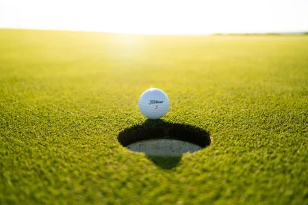 A Golf Membership Company hired a remote Golf Network Admin