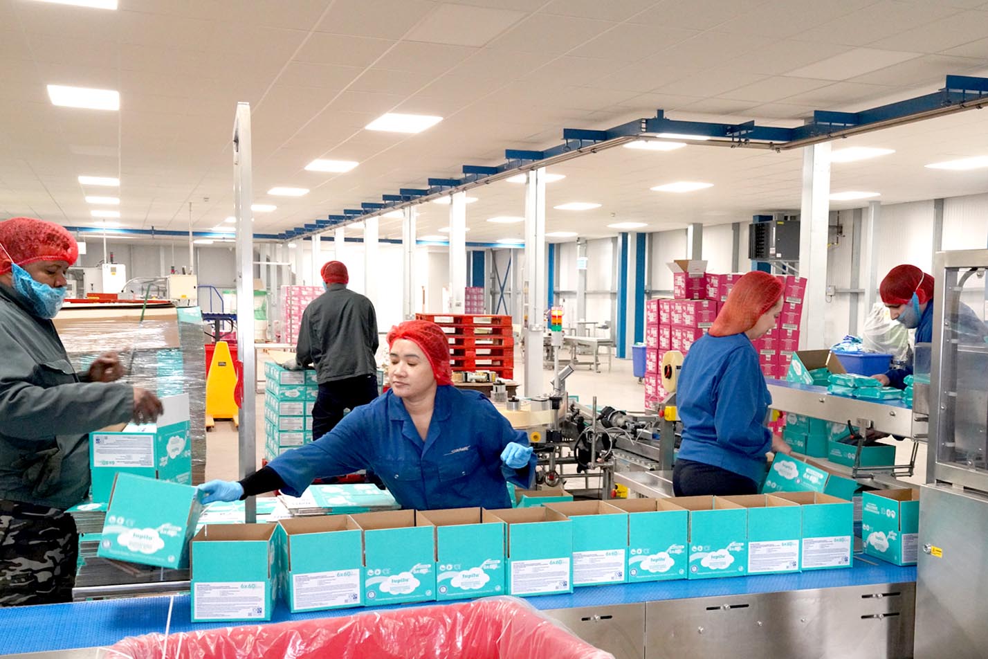 Factory workers wearing red hairnets and blue uniforms packing teal-colored boxes on a conveyor belt in a large, well-lit facility.