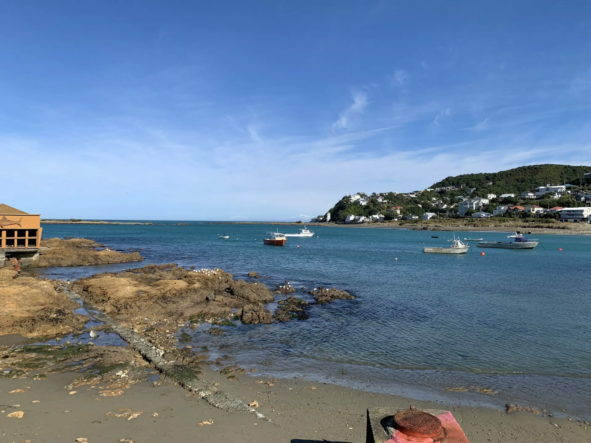 It's Time to Open Up the Korero on Coastal Sedimentation