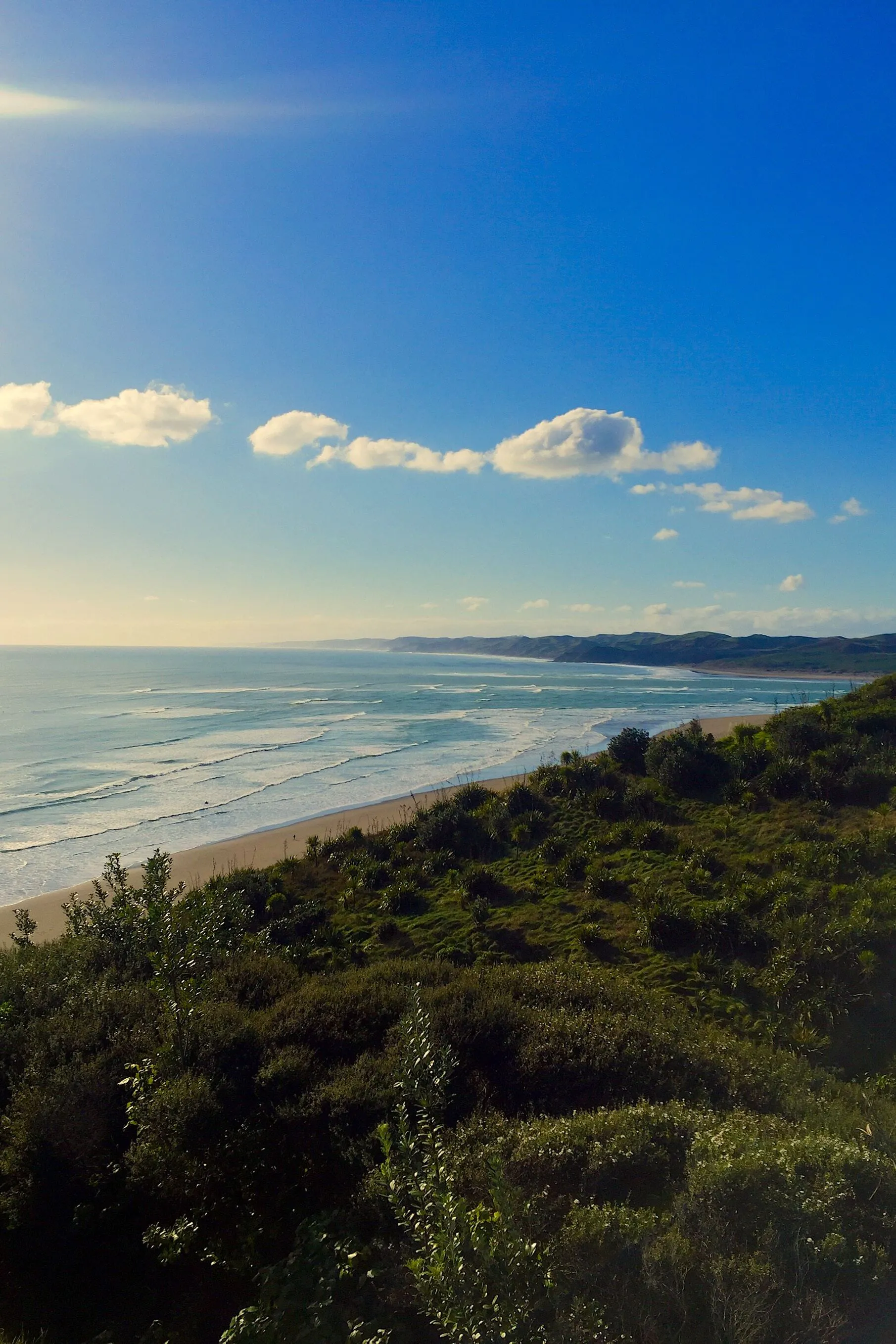 Whaingaroa (Raglan) Rivers Forecast