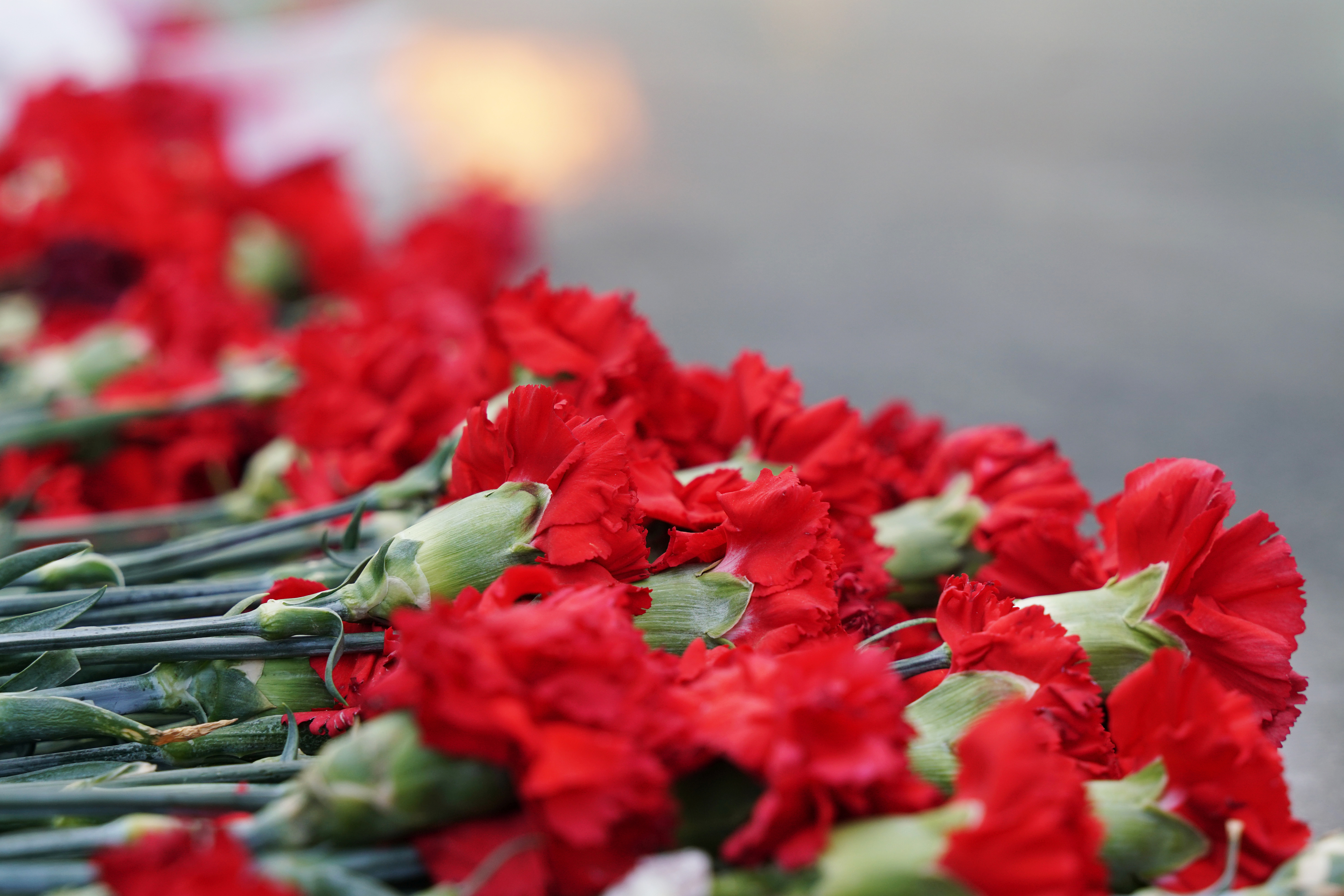 To donate in Ron's memory, please make your check payable to Cohen Community Foundation and send to Cohen Community Foundation, 1350 Euclid Ave., #800, Cleveland, OH 44115. For questions, please contact Erica Moran.