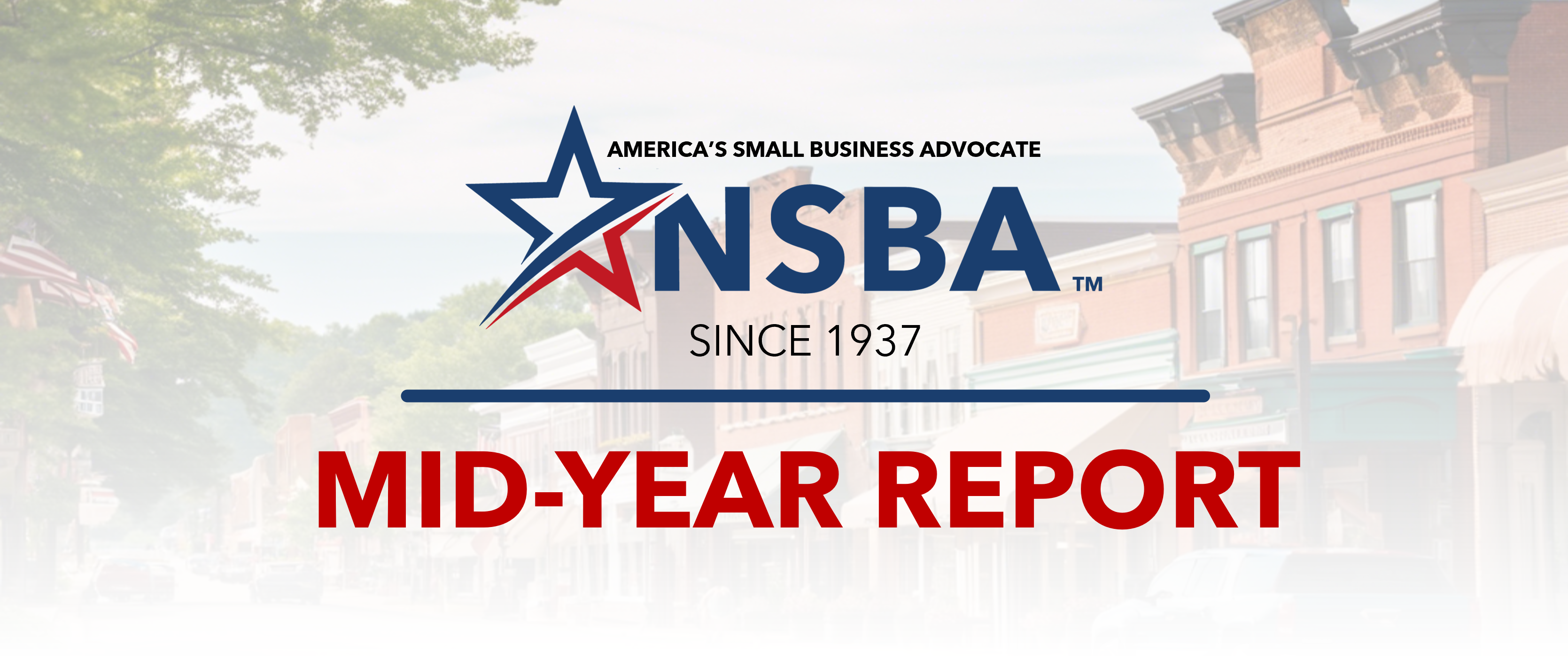 Action and Wins for Small Business highlighted in NSBA's 2025 midyear report. 