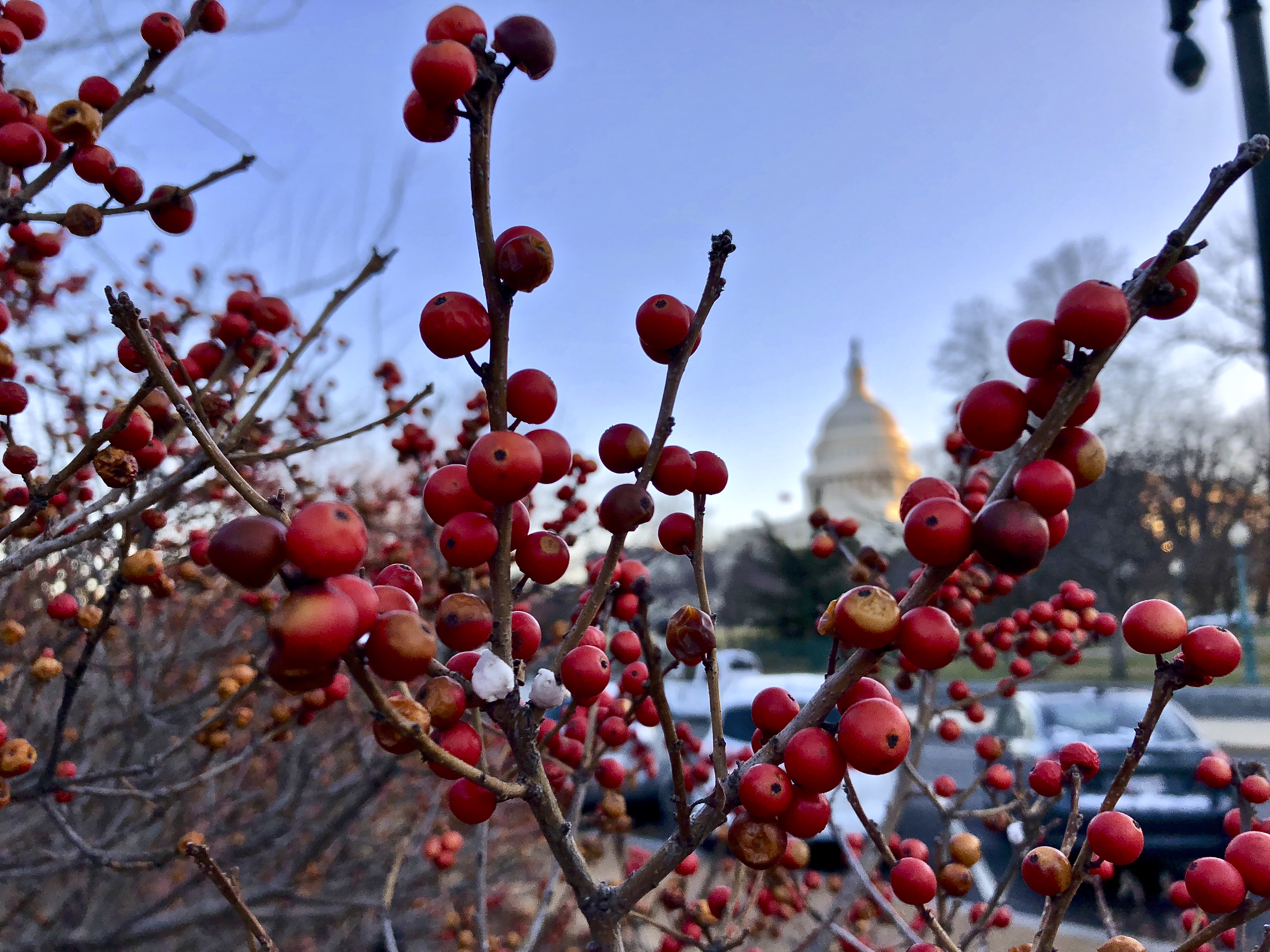 As lawmakers return to Washington for the final stretch of the year, Congress faces an exceptionally crowded agenda with major implications for small businesses, especially around health care affordability, federal funding stability, and defense policy.