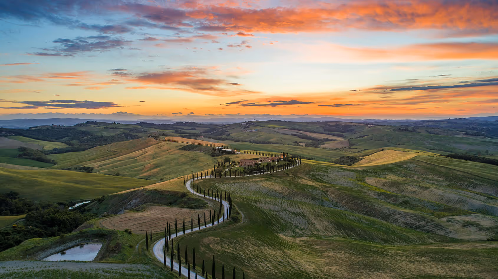 A beautiful landscape shot of a road leading to an Italian winery