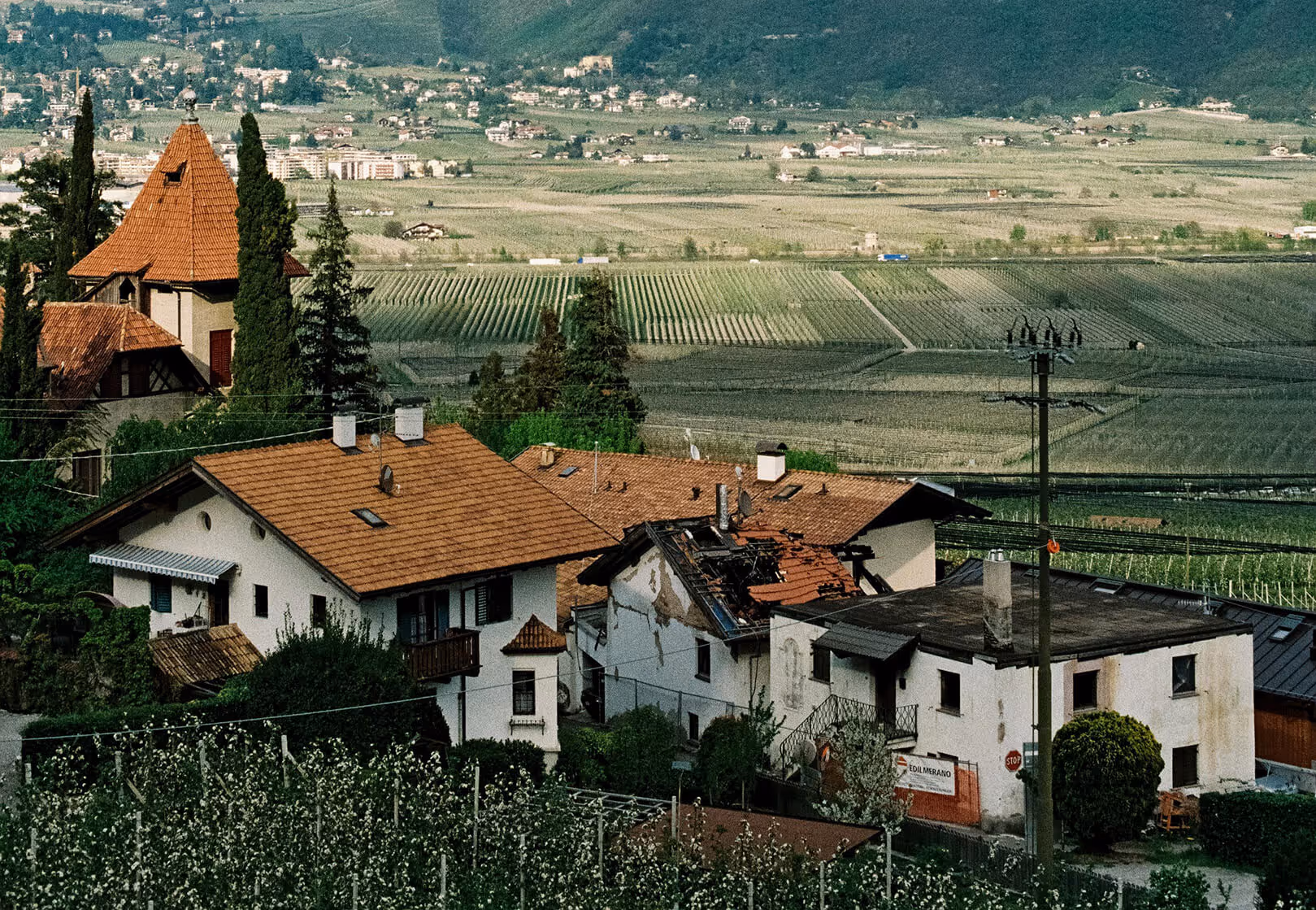 Old Italian buildings overlooking a vineyard