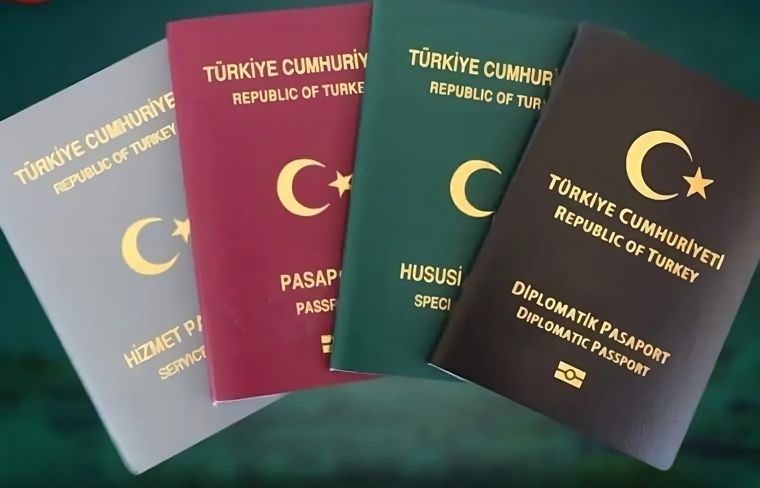 Types of Turkey Passport