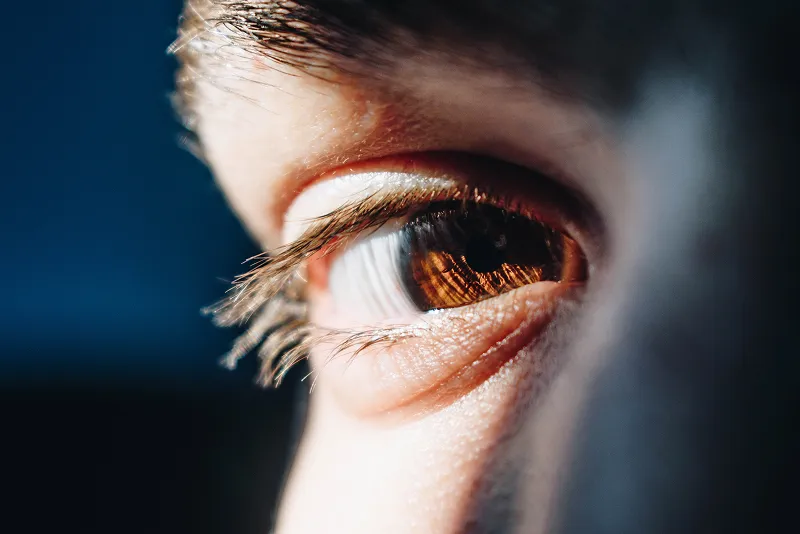 Close-up of a brown eye with detailed eyelashes and skin texture on the side of a face.
