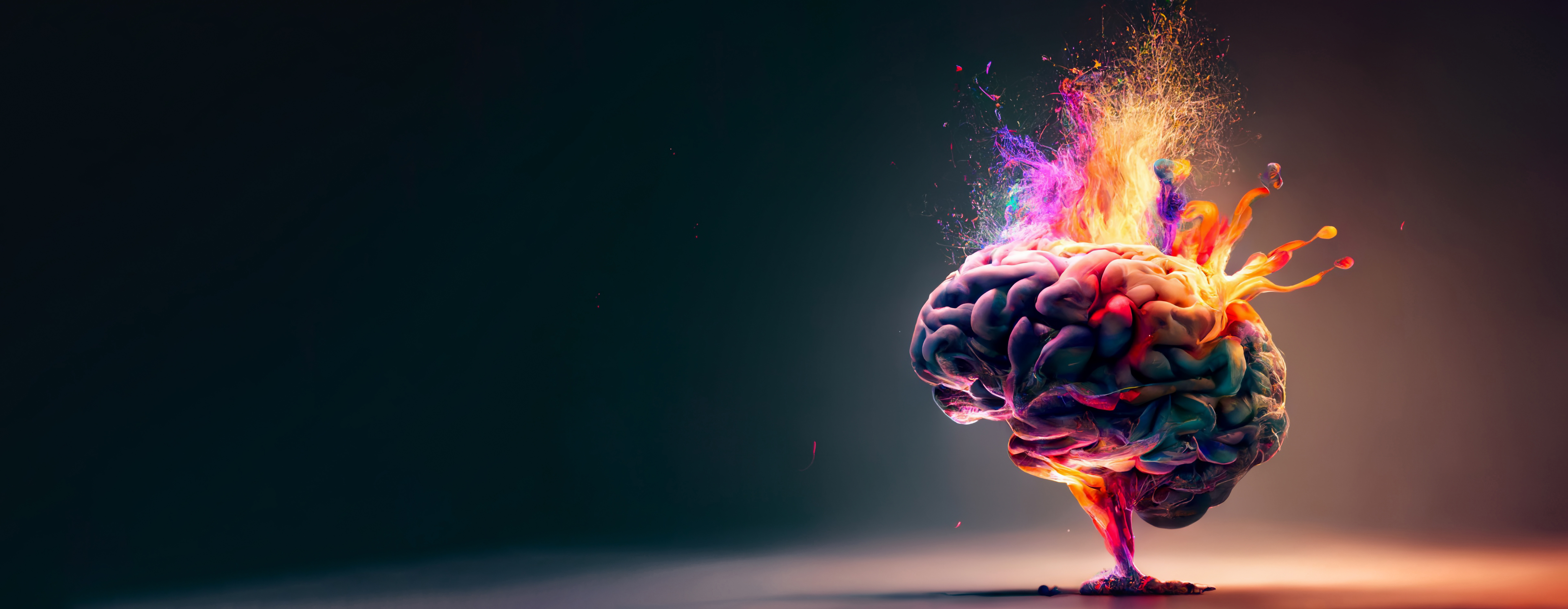 Formation Neuro-Communication (PNL) — communication et comportement