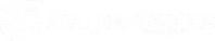 Grupo México logo in white with a globe design on the left.