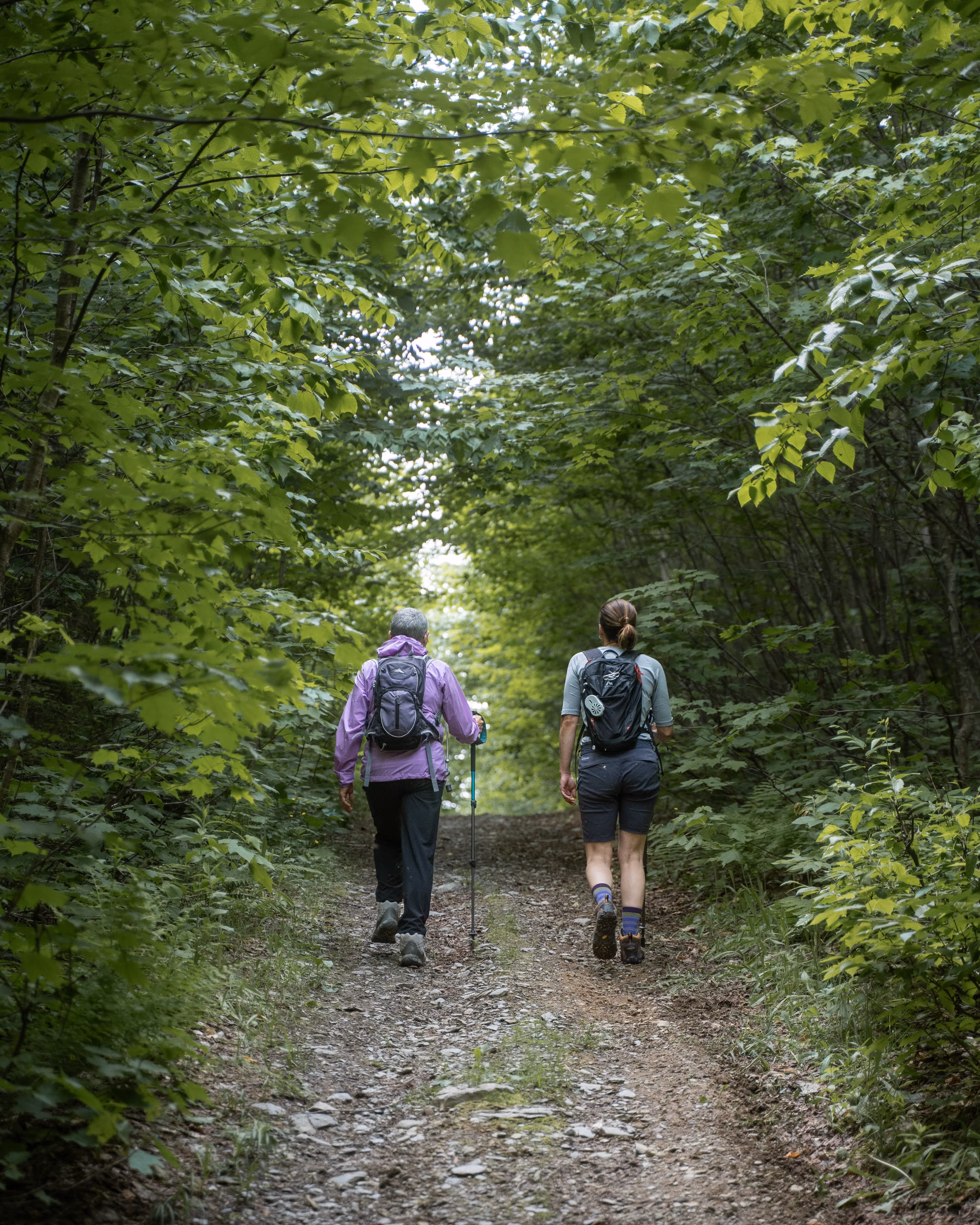 Destination Noroit - Nouveau-Brunswick - ballade en forêt - activité circuit Nord Ouest