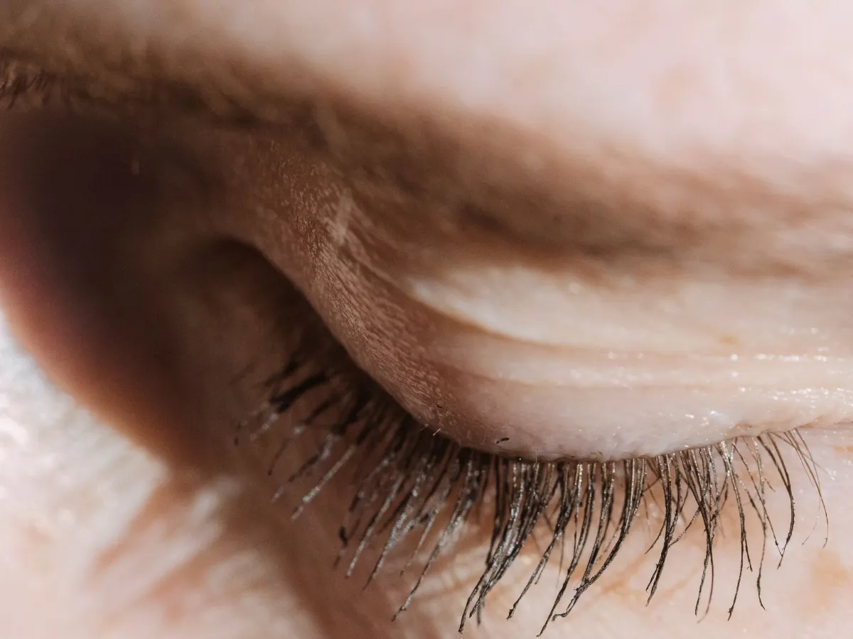 Close-up of a closed eyelid and lashes