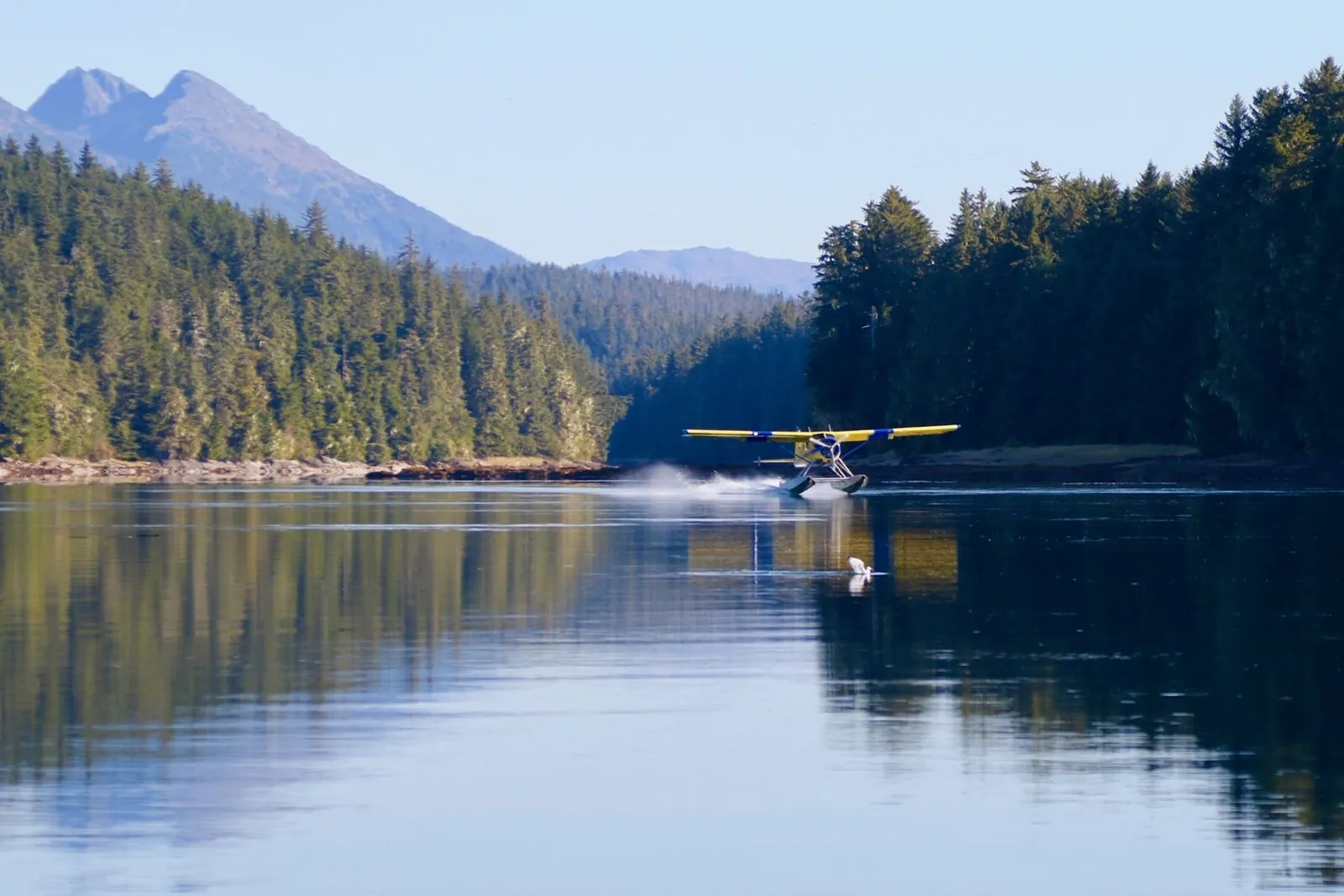 Float plane on the step taking off from a lake in Alaska, with spruce forest and mountains behind