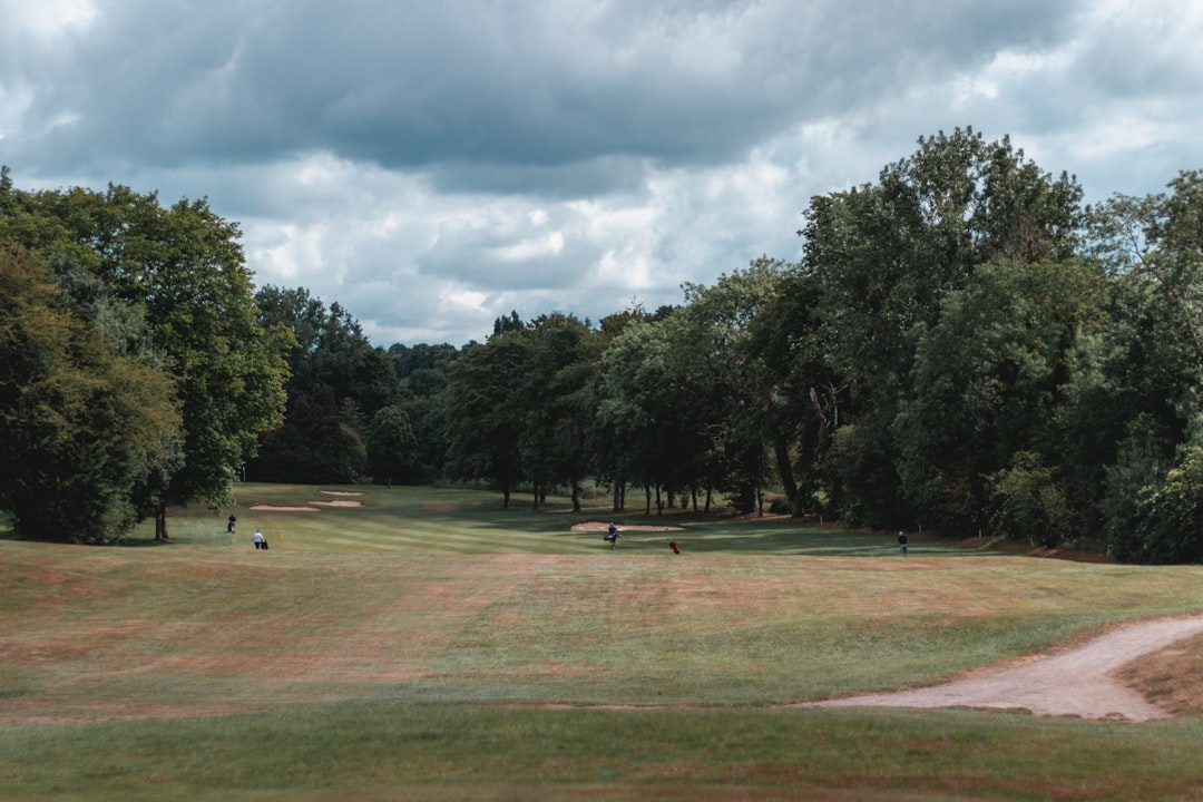 golf green fairway - photo by Toby Harvey on Unsplash