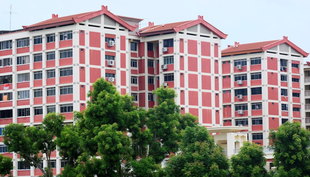 green tree beside brown concrete building during daytime