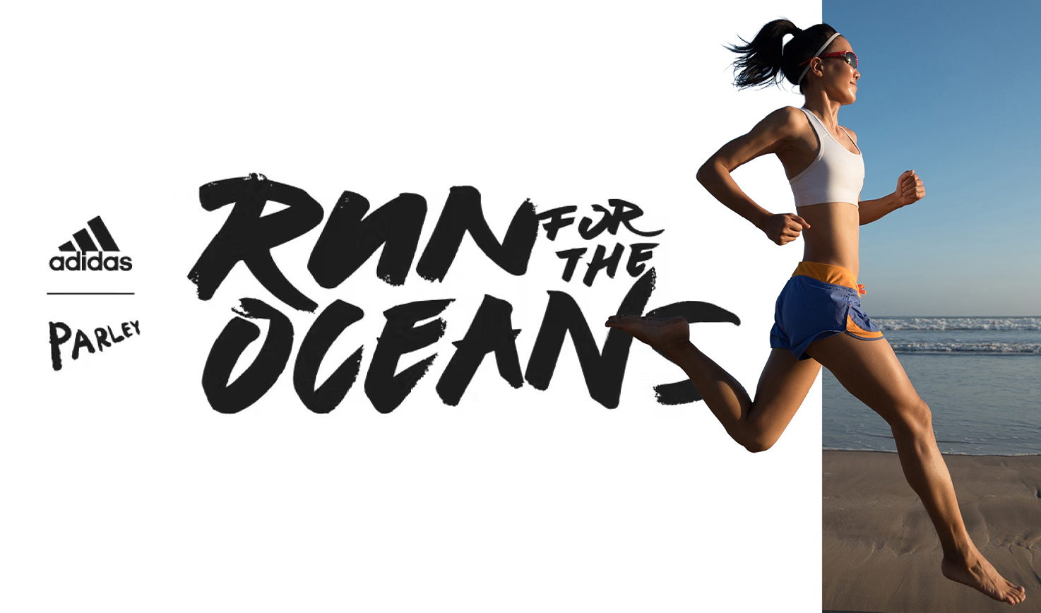 Gallery Single Image