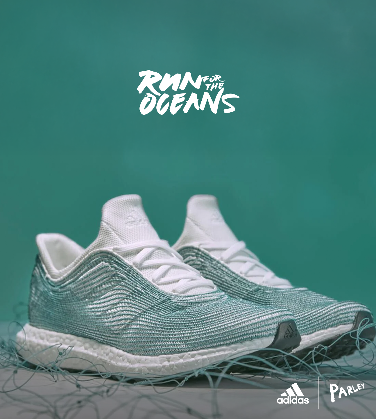 Gallery Single Image