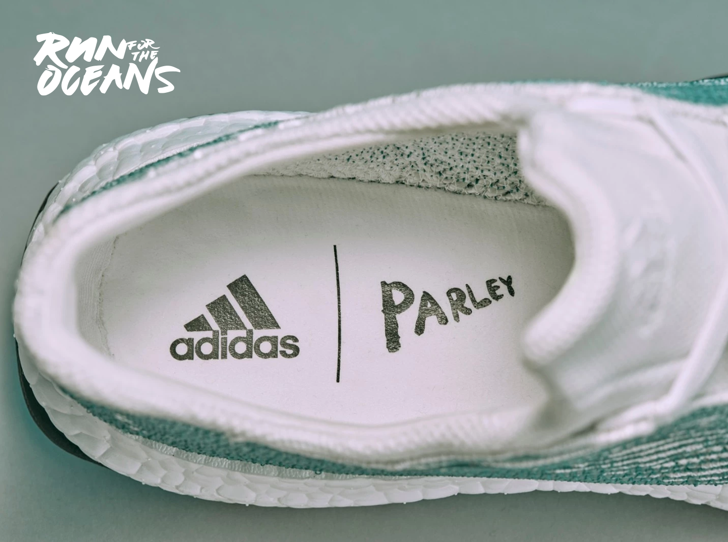 Gallery Single Image