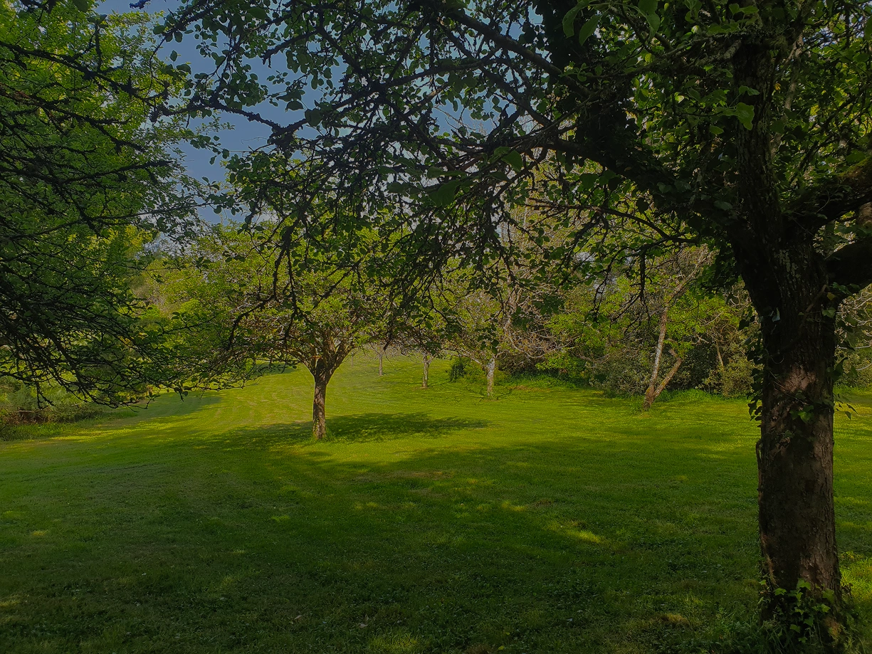 Photo du Jardin Chuchotant