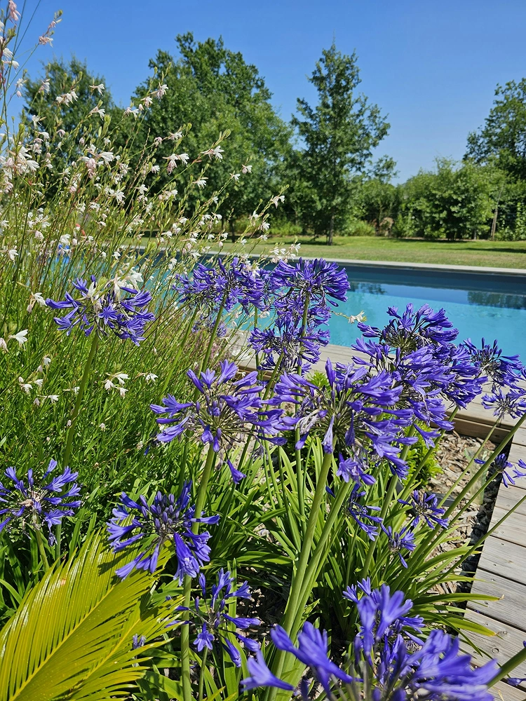 Photo de la piscine du Jardin Chuchotant