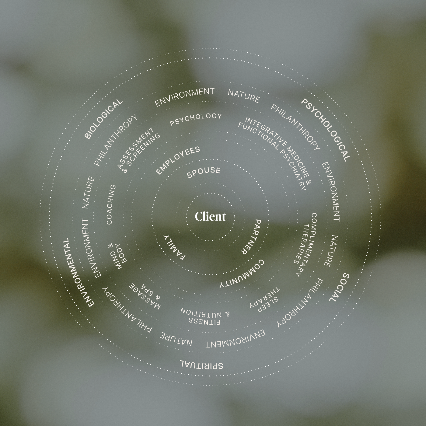 Theoretical Framework
