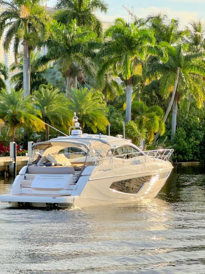 9554815