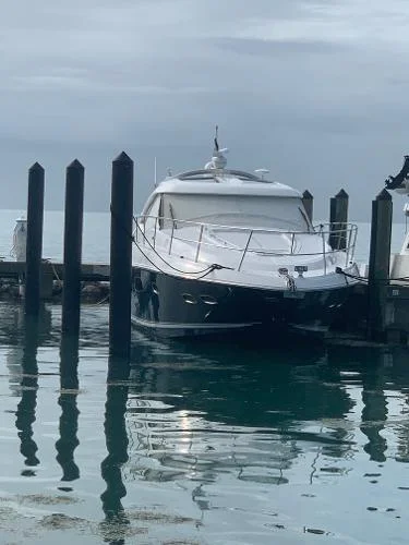 8208061