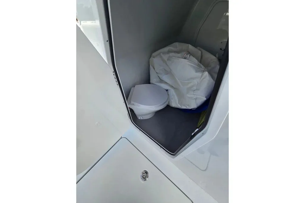 10282431