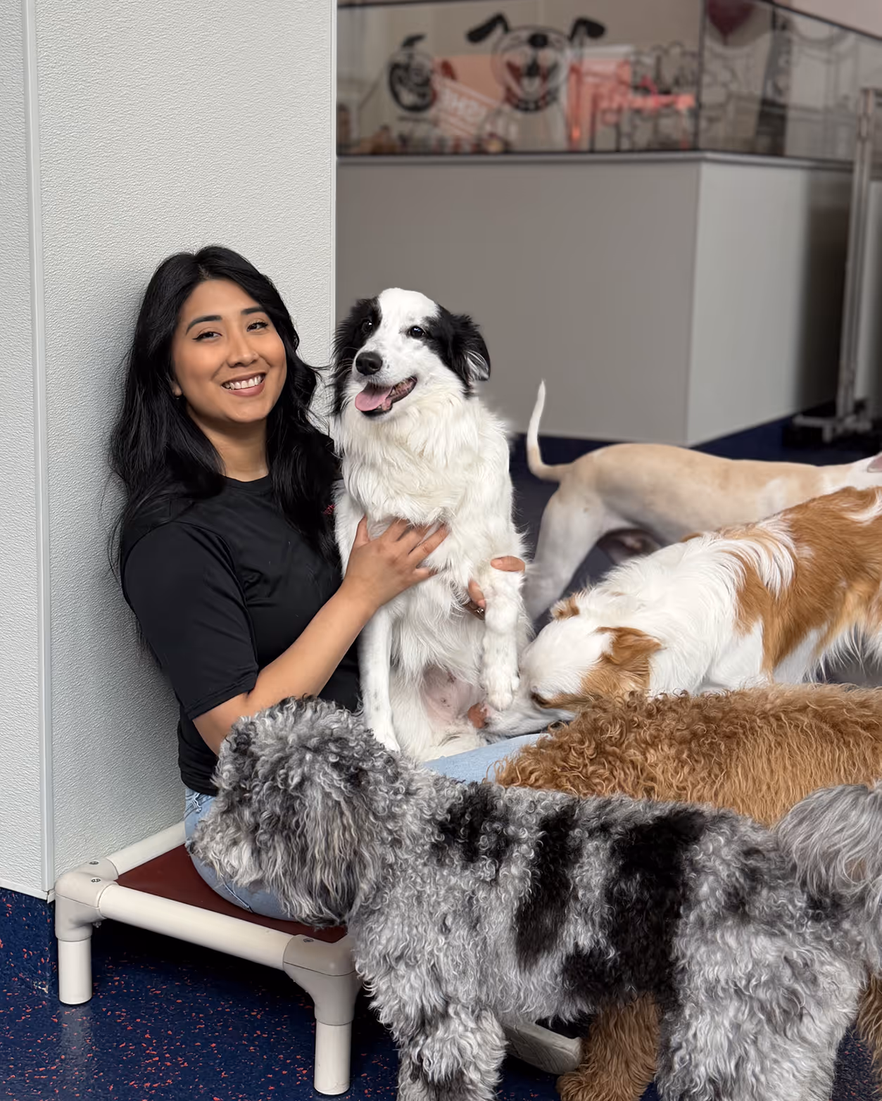 Smiling woman sitting on a raised pet bed indoors, holding a black and white dog among several other dogs around her.