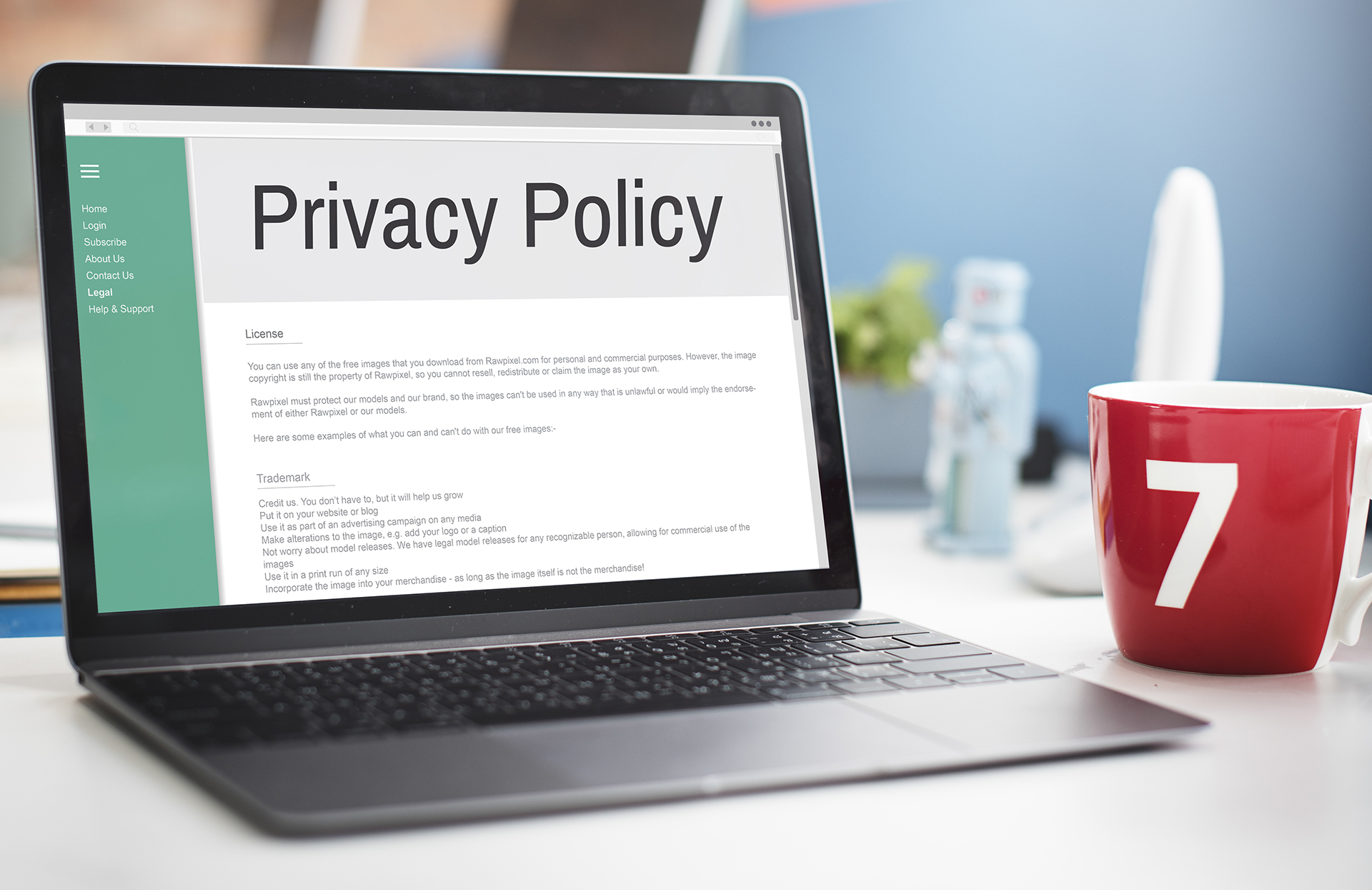 privacy-policy-information-principle
