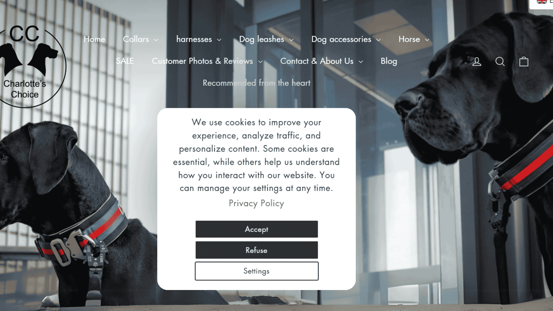 Dialog cookie banner view from Consentmo Shopify app.