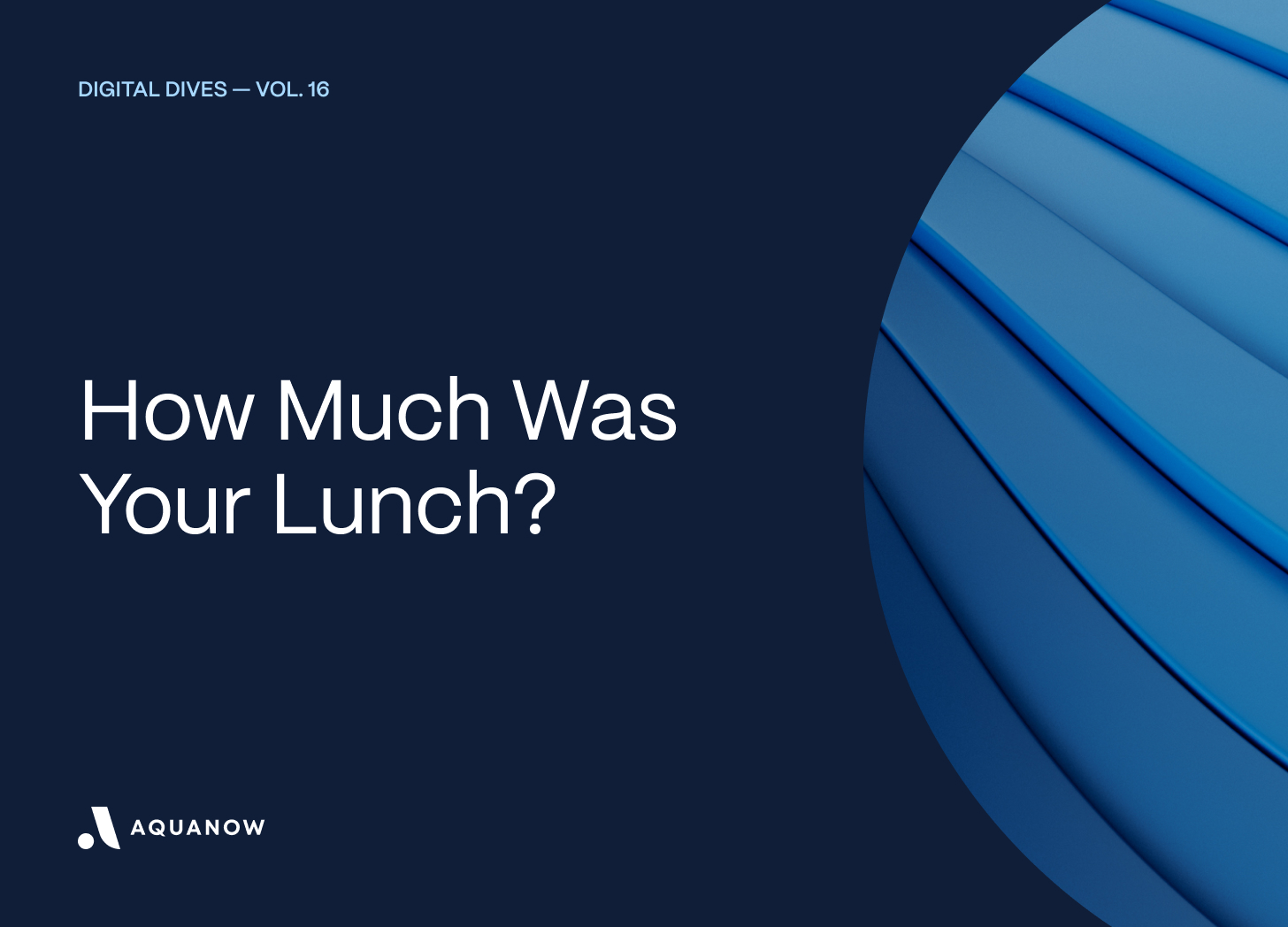 How Much Was Your Lunch? 🍽️ — Digital Dives Vol. 16