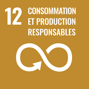 ODD 12 – Consommation et production responsables (Nations Unies)