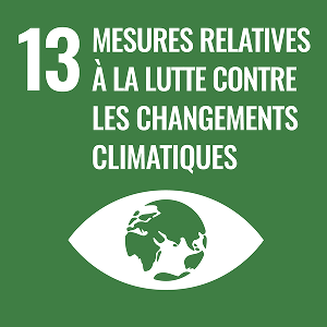 ODD 13 – Lutte contre les changements climatiques (Nations Unies)