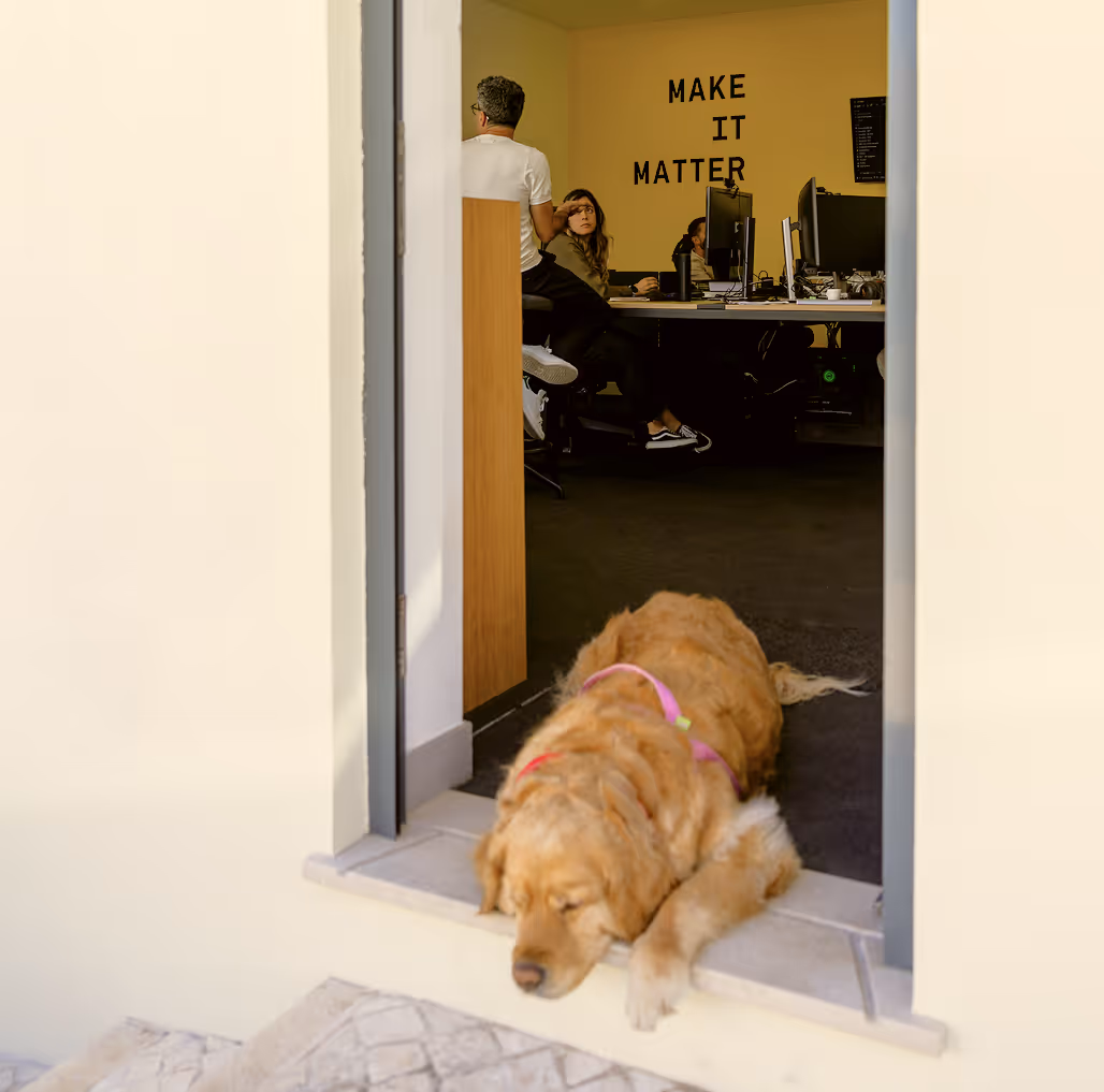 Golden retriever (Evee) lying at a door threshold with people working at computers inside the room.