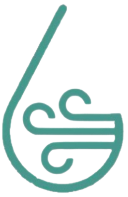 Wind Icon