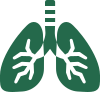 lung icon