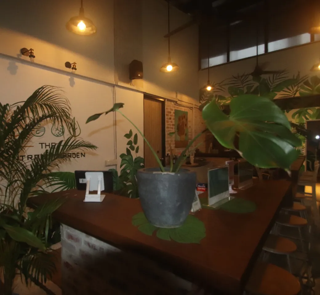 Entry and front desk to contrast garden