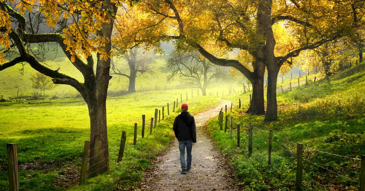 Person on a solitary walk through the countryside