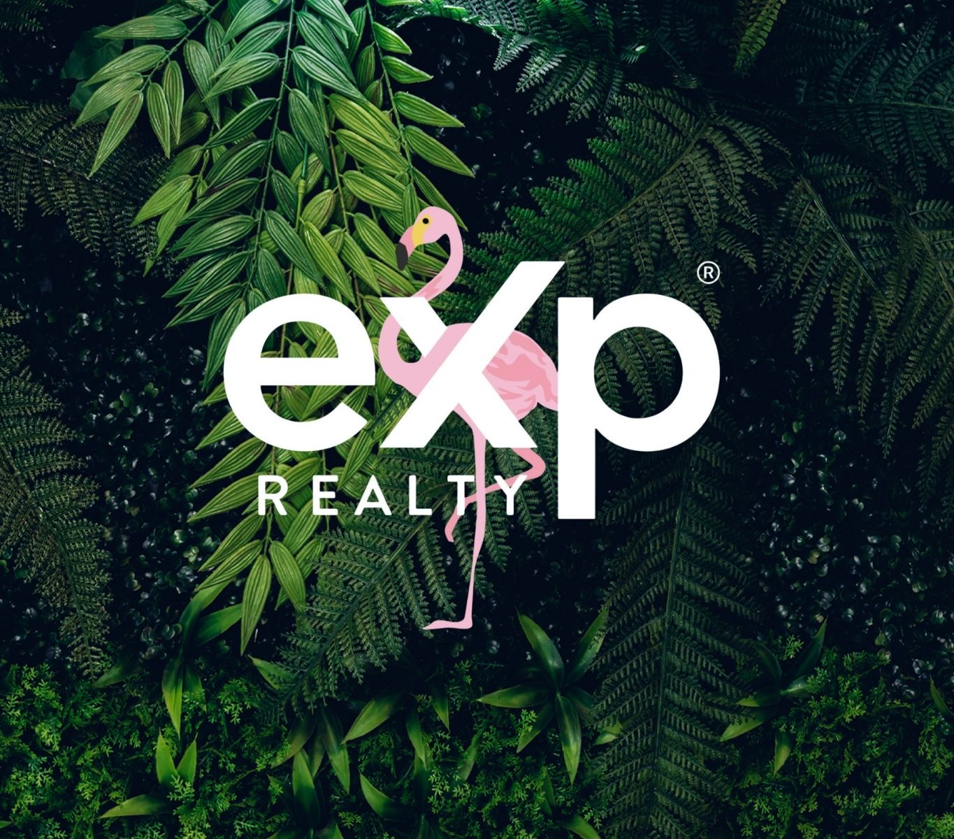 eXp realty logo overlaid on green tropical shrubbery. 