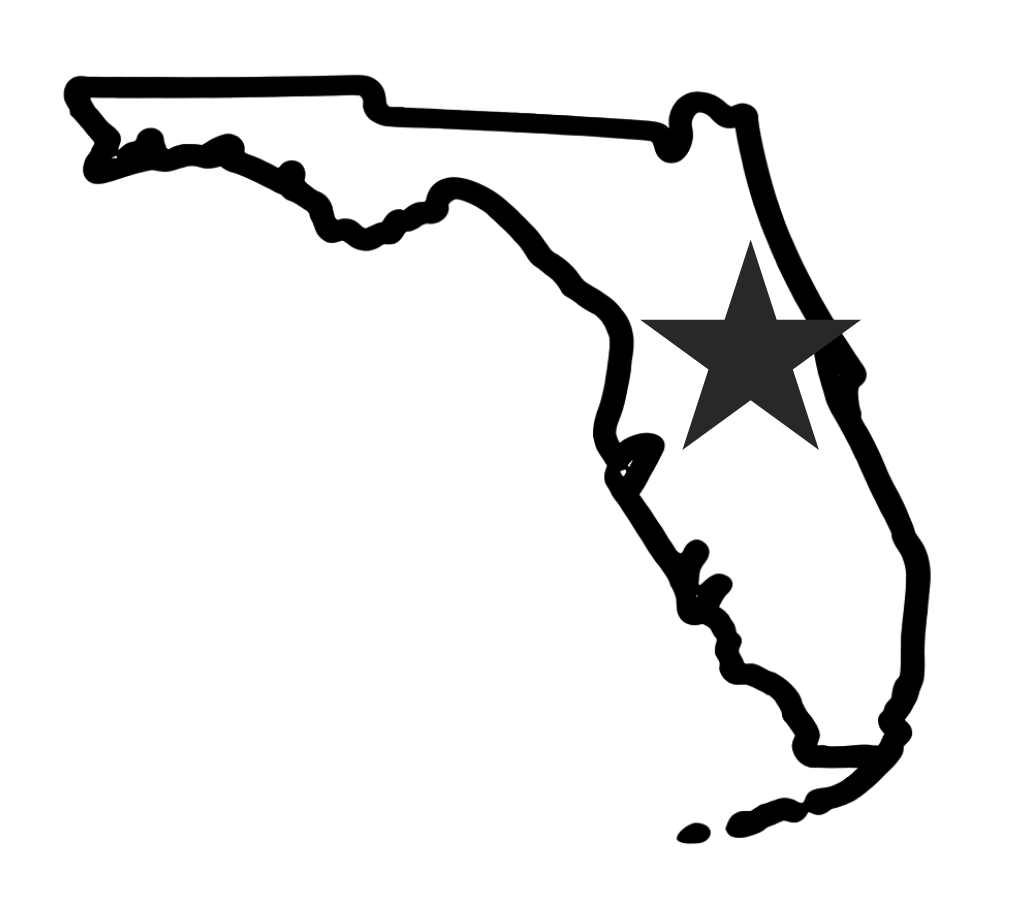 Outline of Florida with a star highlighting the Palm Coast