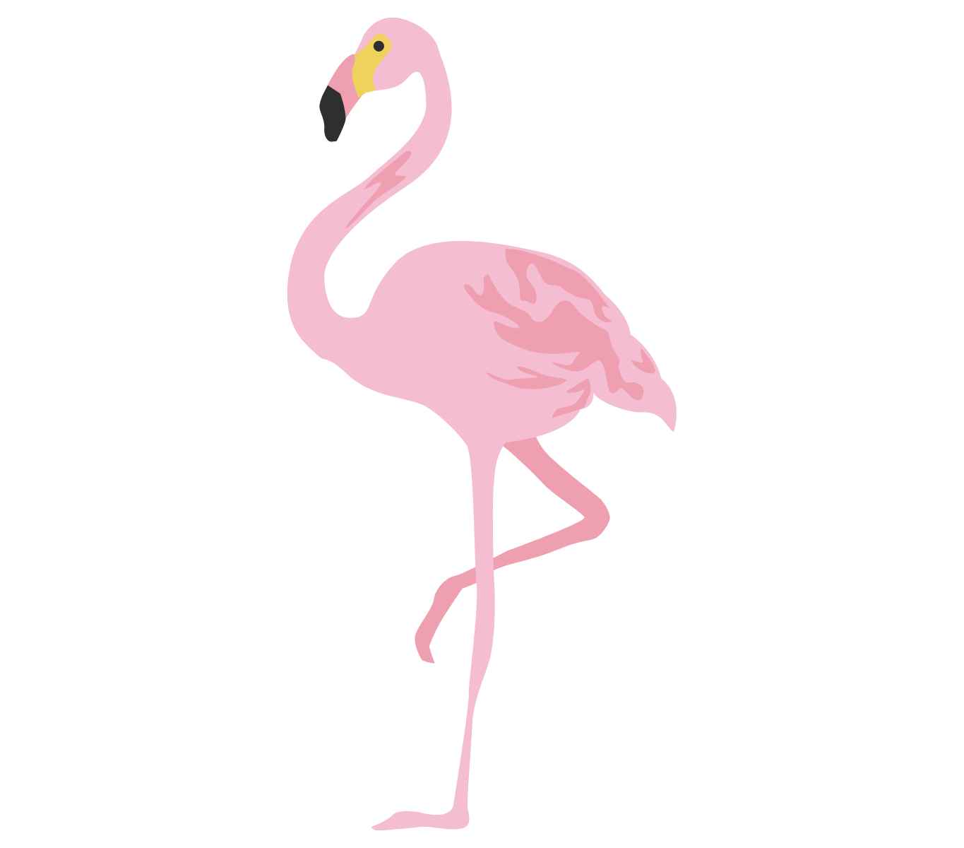 Pink Flamingo Illustration
