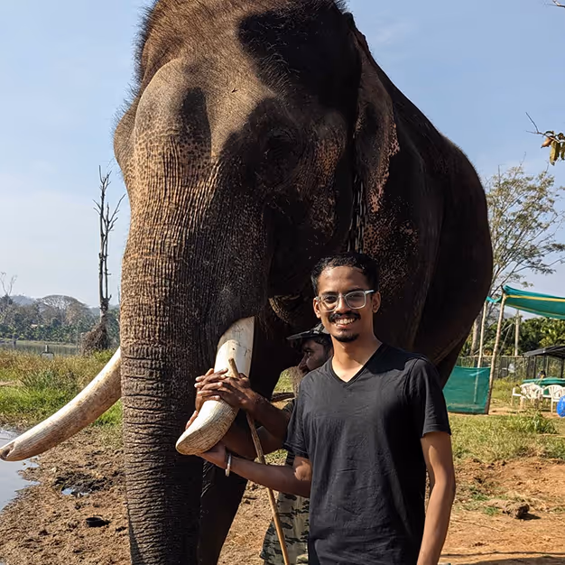 A man wearing glasses and a black t-shirt smiling while standing next to an elephant holding its tusk.