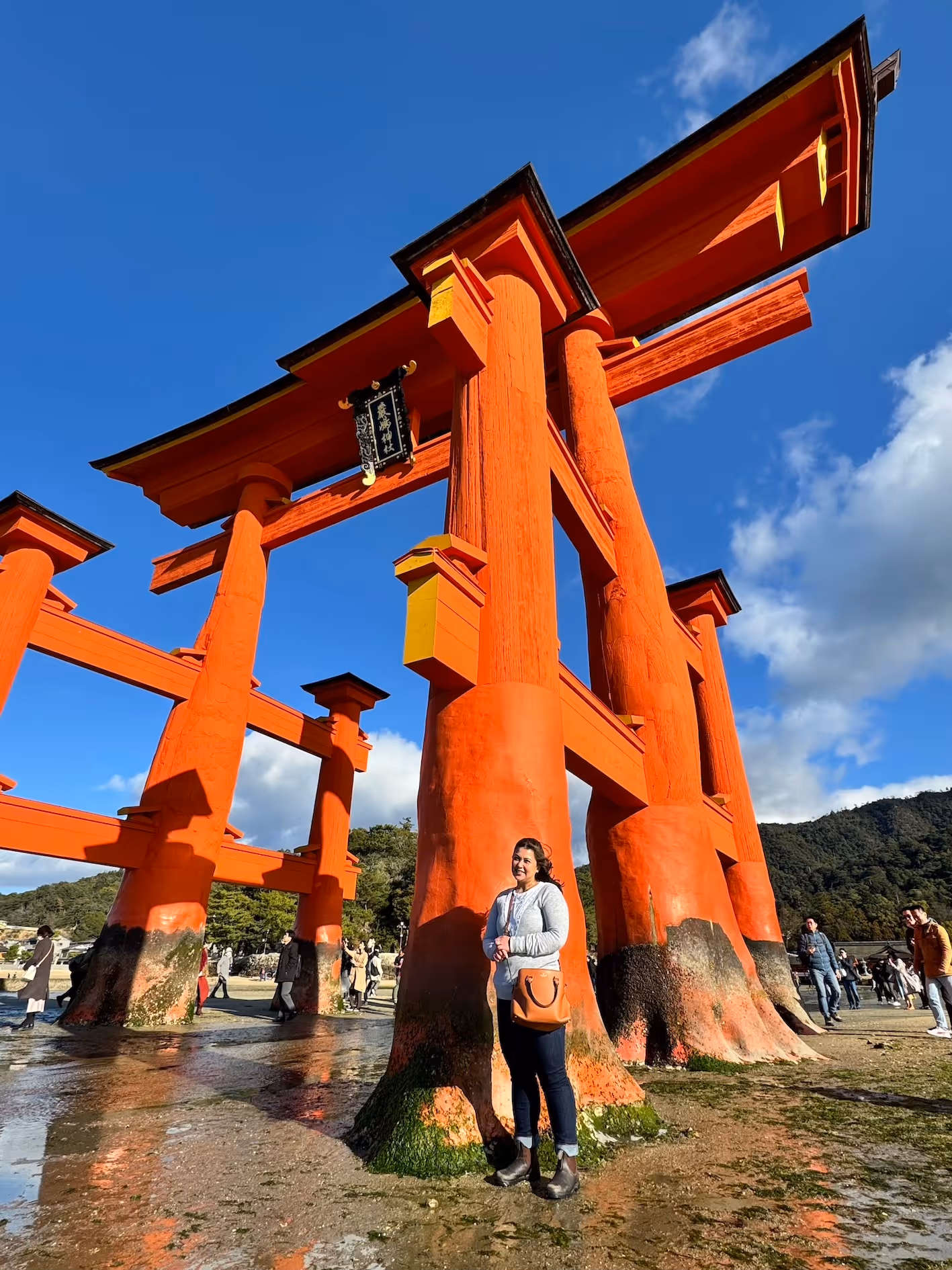A woman standing in front of an orange torii gate.