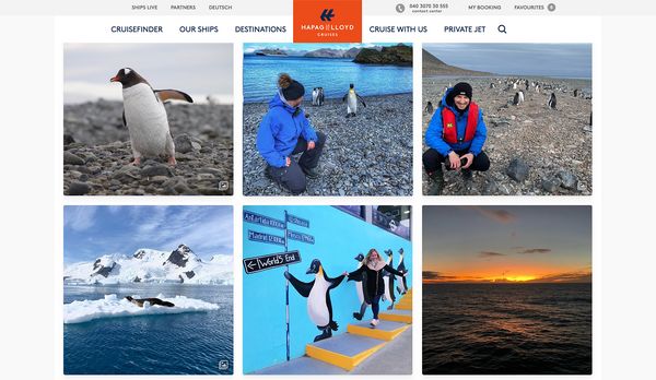An Instagram feed embedded on a website