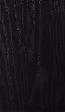 Black composite door colour