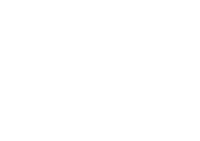Onyx Security