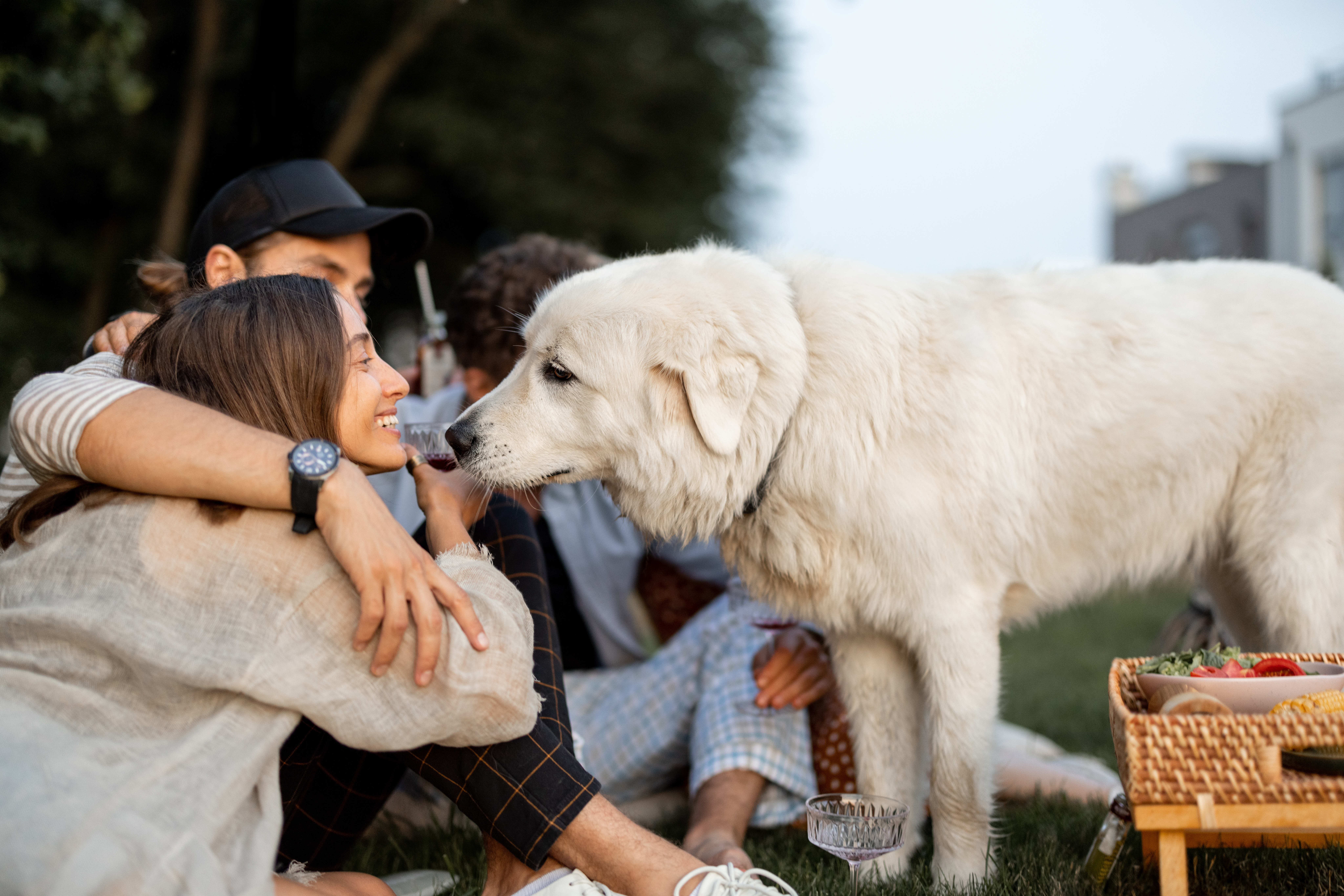 couple with dog stock image